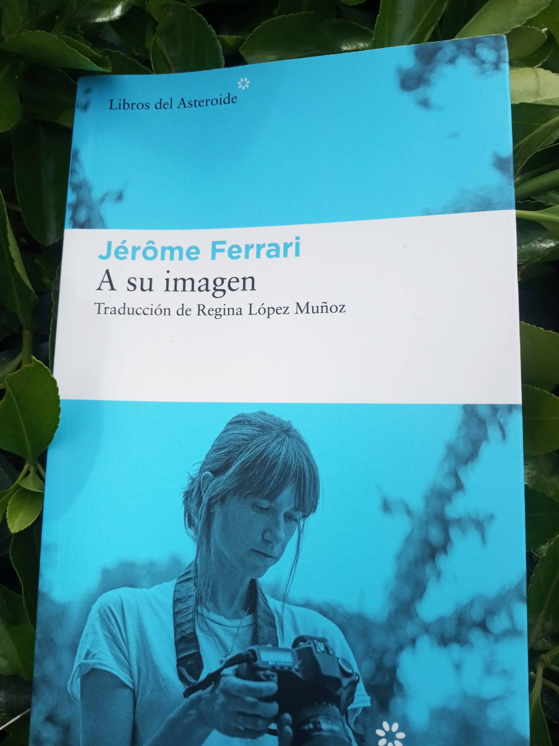 Novela A su imagen